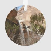 Emerald Pool Falls I du parc national de Zion (dos)