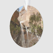Emerald Pool Falls I du parc national de Zion (devant)