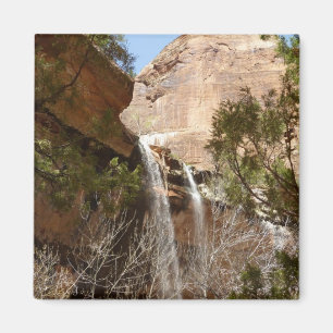 Emerald Pool Falls I uit Zion National Park Magneet