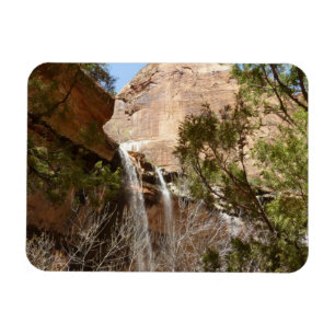 Emerald Pool Falls I uit Zion National Park Magneet