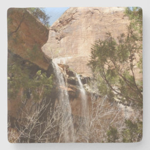 Emerald Pool Falls I uit Zion National Park Stenen Onderzetter