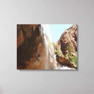 Emerald Pool Falls II uit Zion National Park Canvas Afdruk