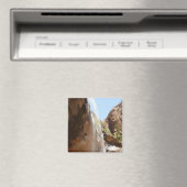 Emerald Pool Herfst II uit het Nationaal Park Zion Magneet (Insitu (Vaatwasser))