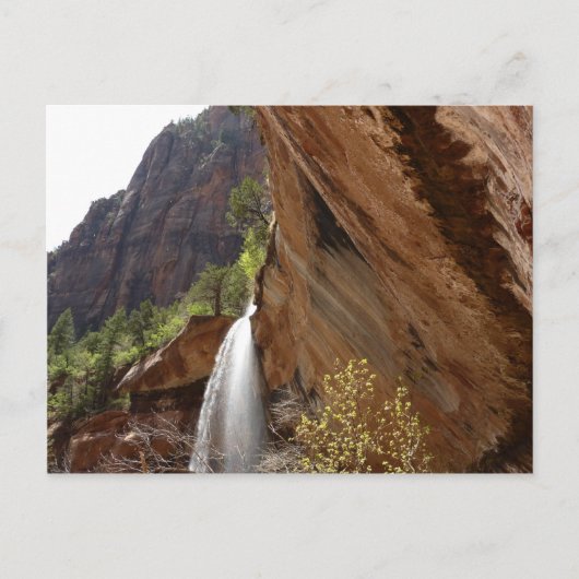 Emerald Pool Herfst III van het Nationaal Park Zio Briefkaart (Voorkant)