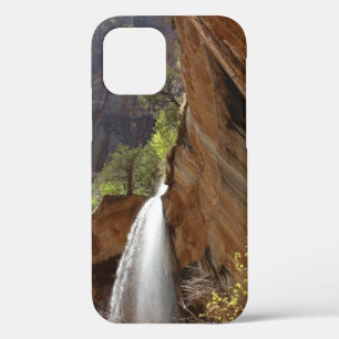 Emerald Pool Watervallen III uit Zion National Par iPhone 12 Hoesje