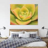 Emerald Succulent Macro Canvas Wall Art Print  (Insitu (Slaapkamer))