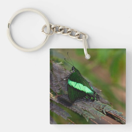 Emerald Swallowtail Sleutelhanger (voorkant)