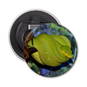 Emerald Tree Boa Snake Button Flesopener