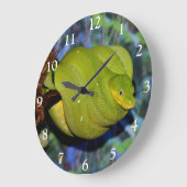 Emerald Tree Boa Snake Grote Klok (Hoek)