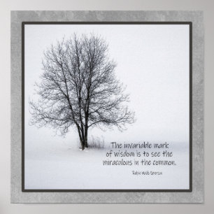 Emerson citeert om het wonderbaarlijke te zien poster