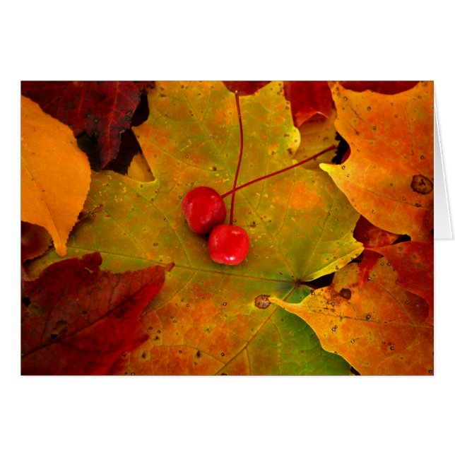 Emery's Porch II (Voorkant Horizontaal)