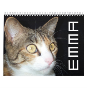 Emma Calendar 2008 Kalender