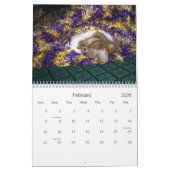 Emma Calendar 2008 Kalender (Feb 2026)