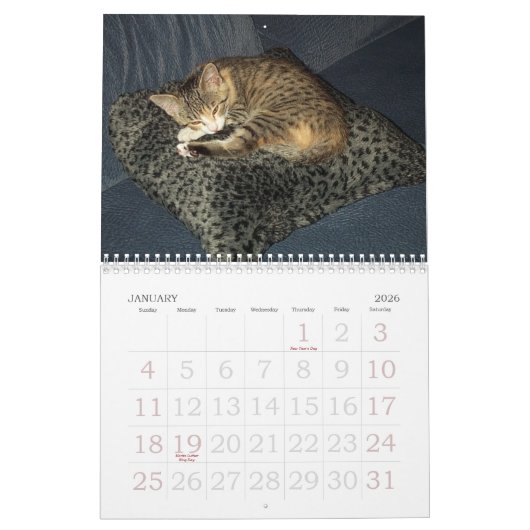 Emma Calendar Kalender (Jan 2026)