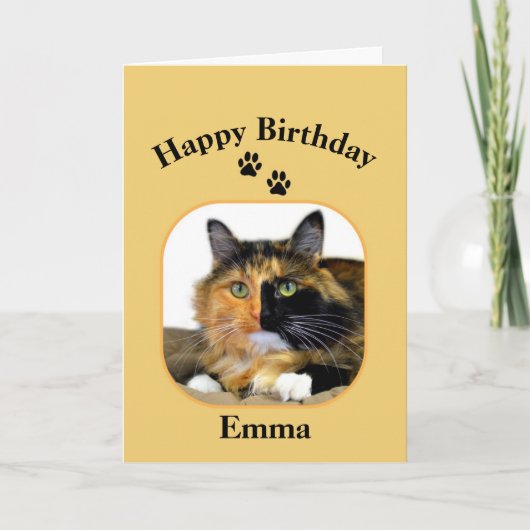Emma Calico Cat Happy Birthday Kaart (Voorkant)