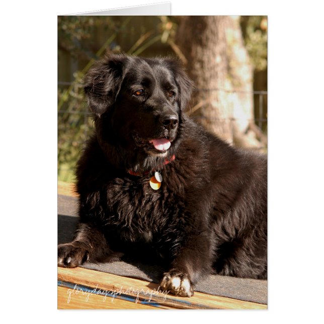 Emma, glorydayfotografie (Voorkant)