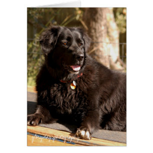 Emma, glorydaysphotography