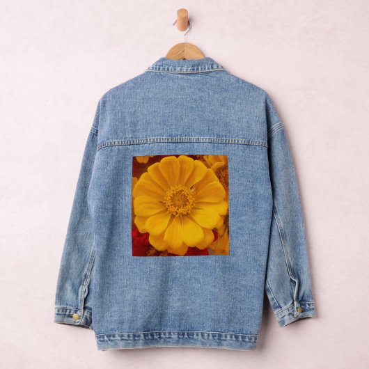 Emmeline Denim Jacket (Hangar)