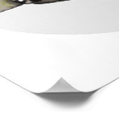 Emo Sloth Poster (Hoek)