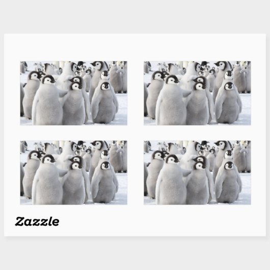 Empereur Penguin Chicks - autocollant (Feuille)