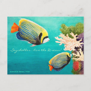 Emperor Angel Briefkaart