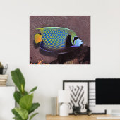 Emperor Angelfish II Poster (Thuiskantoor)