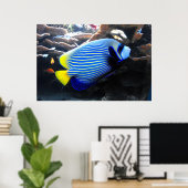Emperor Angelfish Poster (Thuiskantoor)