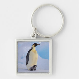 Emperor Penguin   Aptenodyten Sleutelhanger