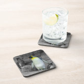 Emperor Penguin Bier Onderzetter (Rechterzijde)