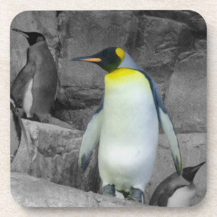 Emperor Penguin Bier Onderzetter