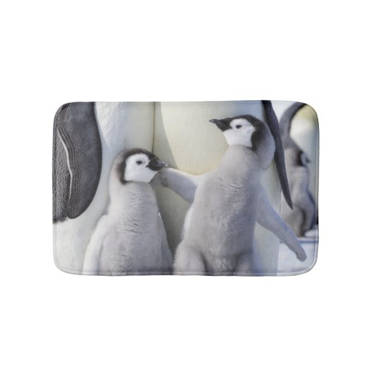 Emperor Penguin Chick Badmat (Voorkant)