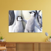 Emperor Penguin Chick Canvas Afdruk (Insitu (Woonkamer))