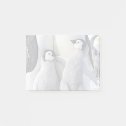 Emperor Penguin Chick Post-it® Notes (Voorkant)