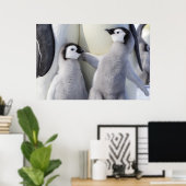 Emperor Penguin Chick Poster (Thuiskantoor)