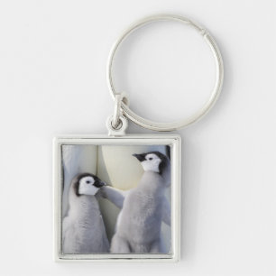 Emperor Penguin Chick Sleutelhanger