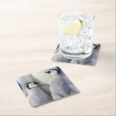 Emperor Penguin Chick Vierkante Kartonnen Onderzetter (Insitu)