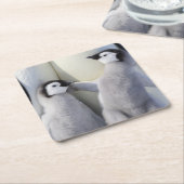 Emperor Penguin Chick Vierkante Kartonnen Onderzetter (Schuin)