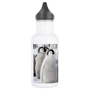 Emperor Penguin Chicken Water Fles