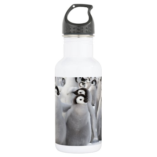 Emperor Penguin Chicken Water Fles