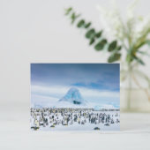Emperor Penguin Colony Briefkaart (Staand voorkant)