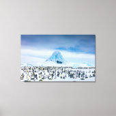 Emperor Penguin Colony Canvas Afdruk (Voorkant)