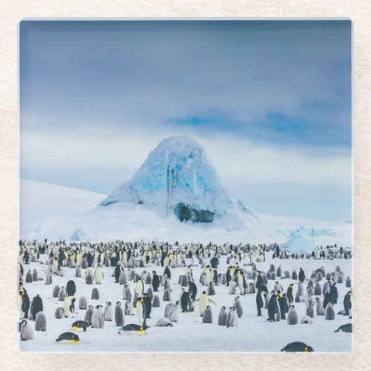 Emperor Penguin Colony Glazen Onderzetter (Voorkant)