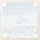 Emperor Penguin Colony Glazen Onderzetter (Achterkant)