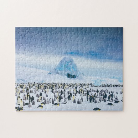 Emperor Penguin Colony Legpuzzel (Horizontaal)