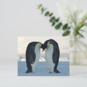 Emperor Penguin Courtship Briefkaart (Staand voorkant)