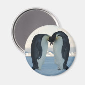 Emperor Penguin Courtship Magneet (Voorkant / Achterkant)