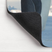 Emperor Penguin Courtship Muismat (Hoek)