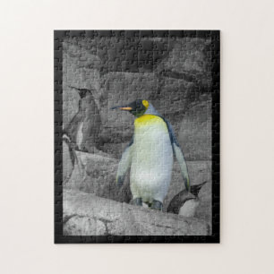 Emperor Penguin Legpuzzel