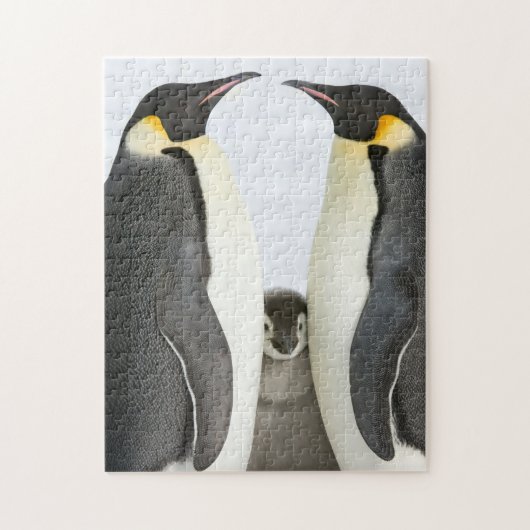 Emperor Penguin Puzzle Legpuzzel (Verticaal)