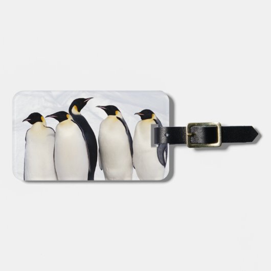 Emperor Penguins Bagagelabel (Voorkant horizontaal)